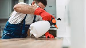 Best Residential Pest Control  in Erlanger, KY